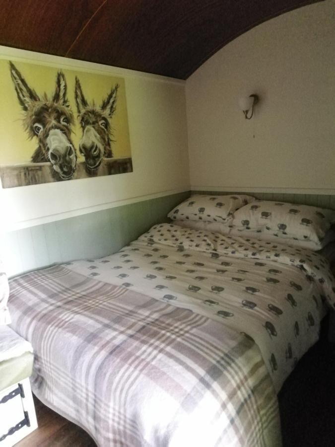 Durham Donkey Rescue Shepherd'S Hut Hotel ภายนอก รูปภาพ