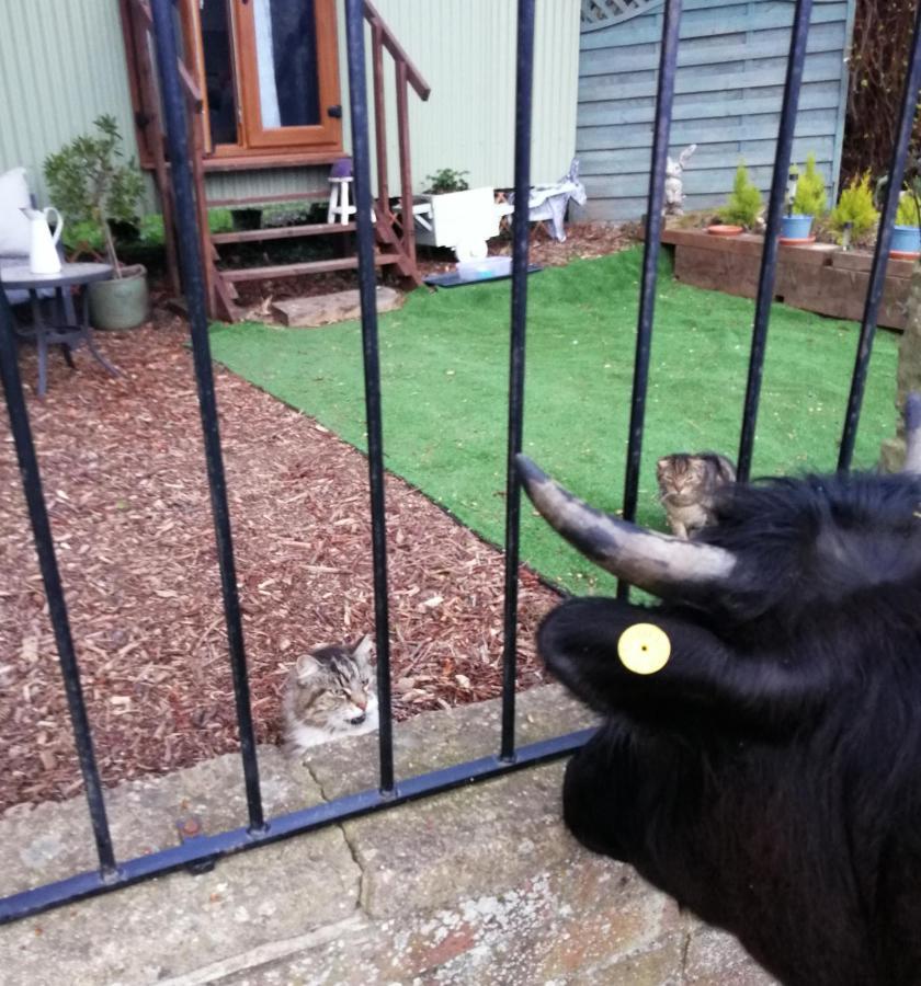 Durham Donkey Rescue Shepherd'S Hut Hotel ภายนอก รูปภาพ