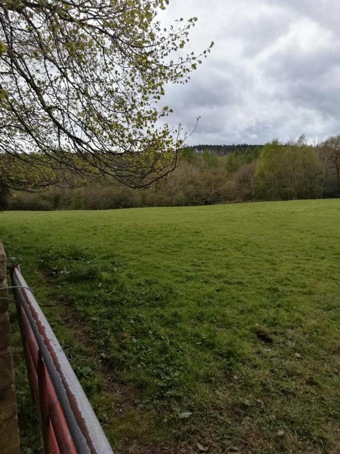 Durham Donkey Rescue Shepherd'S Hut Hotel ภายนอก รูปภาพ
