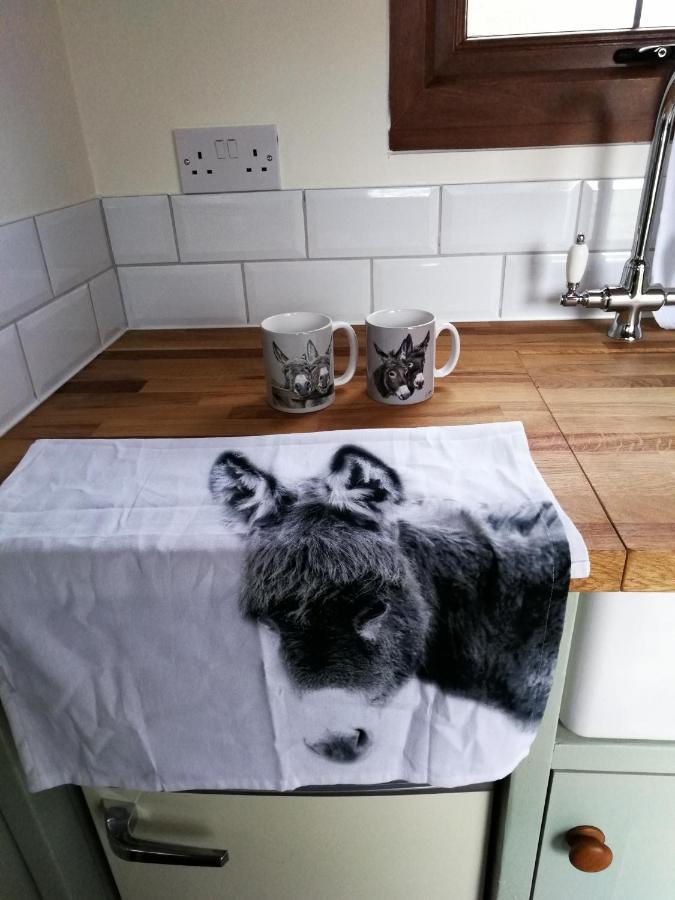 Durham Donkey Rescue Shepherd'S Hut Hotel ภายนอก รูปภาพ