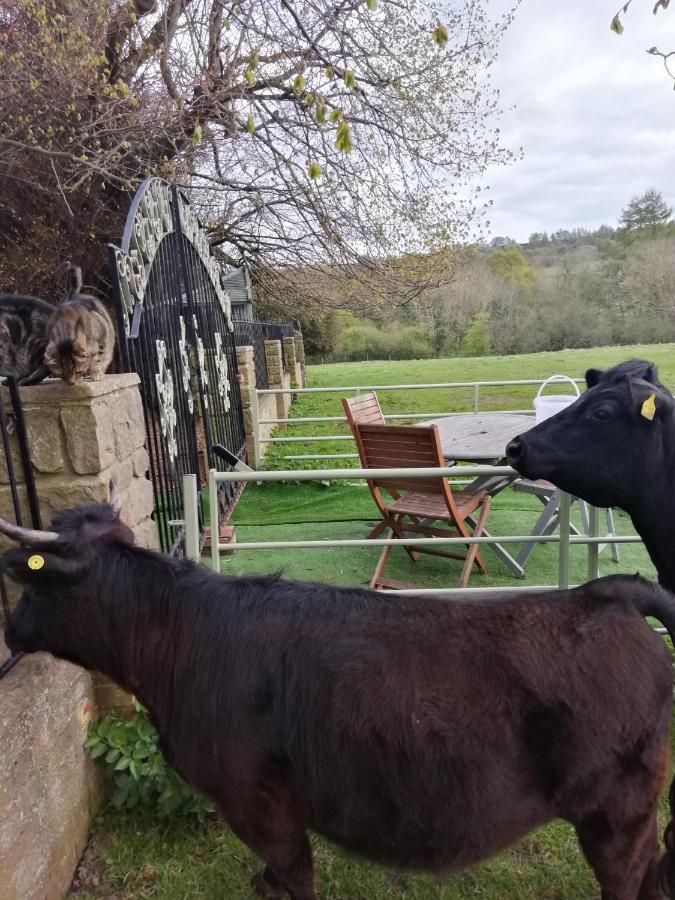 Durham Donkey Rescue Shepherd'S Hut Hotel ภายนอก รูปภาพ